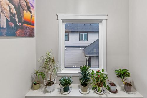 a window with a bunch of potted plants on a shelf at Hearthside Estate in Prince George