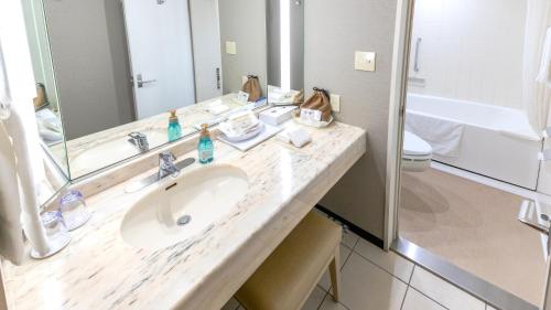 a bathroom with a sink and a mirror and a toilet at Premier Hotel Nakajima Park Sapporo in Sapporo