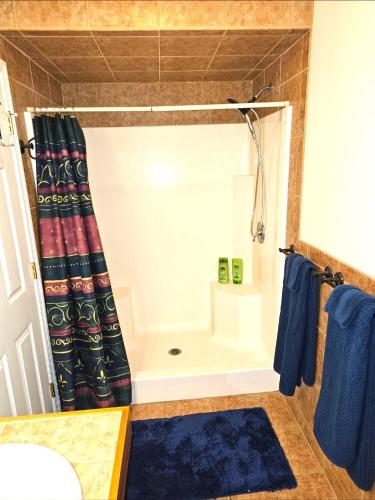 a bathroom with a shower with a shower curtain at Waterfront hideaway on the canal in South Daytona