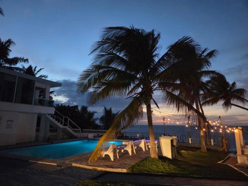 a hotel with a palm tree and a swimming pool at Ventana Va1c at Arecibo 681 Ocean Drive in Arecibo