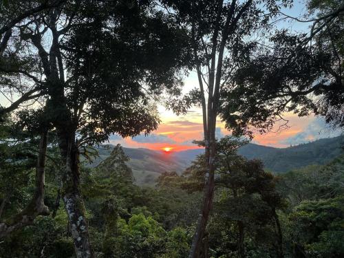 a view of a sunset from a forest of trees at Monte y Alma Monteverde in Cebadilla