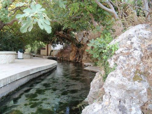 a stream of water with trees and a rock at Hotel zakros rooms-restaurant in Zákros