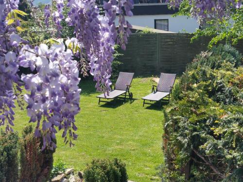 two chairs in a garden with purple flowers at Gästehaus Sonnenhügel in Möhnesee