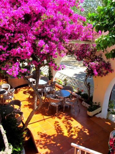 a patio with tables and chairs under a tree with pink flowers at Hotel de la Plage Santa Vittoria in Algajola