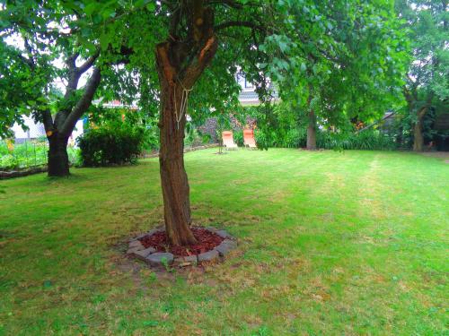 a tree in the middle of a grass field at Hotel Apartment Puell in Eimersleben