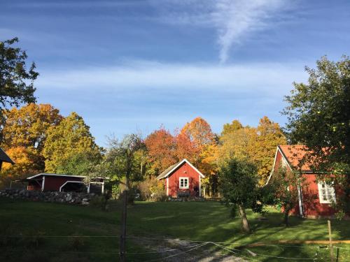 Gallery image of Barnebo 3-6 in Blomstermåla