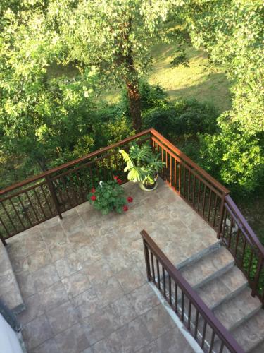 Κήπος έξω από το Apartment Filipović