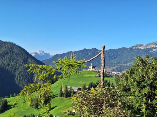 a tree on a hill with mountains in the background at Cesa de Conesel in Colle Santa Lucia