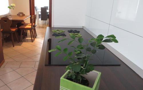Gallery image of Hisa Lescer in Kobarid