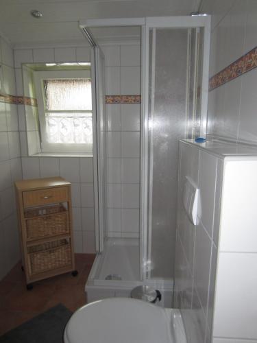 a bathroom with a shower and a toilet and a sink at Haus Hugo in Zingst