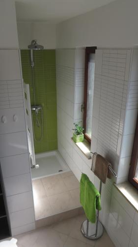 a green and white bathroom with a shower and a sink at Hisa Lescer in Kobarid