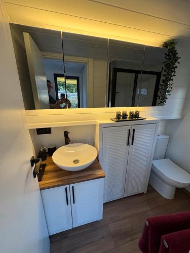 ein Badezimmer mit Waschbecken, Toilette und Spiegel in der Unterkunft La Pura Vida - Glamping Tiny Houses in Brandenburg an der Havel