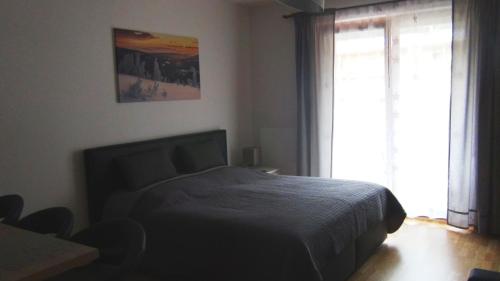 1 dormitorio con cama y ventana grande en Apartment Medvědín 92, en Špindlerův Mlýn