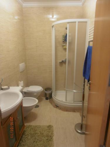 a bathroom with a shower and a toilet and a sink at Vivenda Valverde in Nazaré
