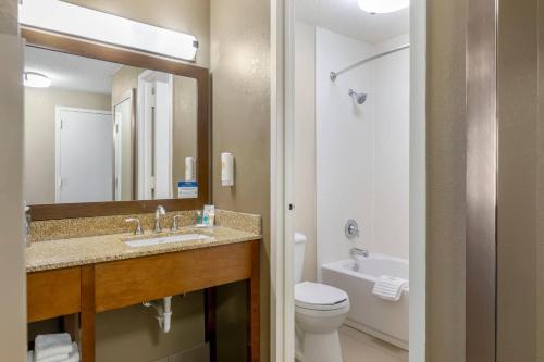 a bathroom with a sink and a toilet and a mirror at Comfort Inn Memphis Downtown in Memphis