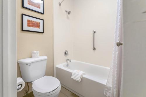 a white bathroom with a toilet and a bath tub at Comfort Inn Memphis Downtown in Memphis