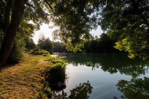 a view of a river with trees on the side at Villa au bord de la Charente in Jarnac
