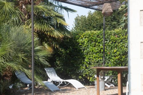 a patio with chairs and a table and a palm tree at Villa au bord de la Charente in Jarnac