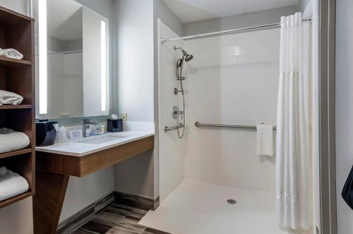 a bathroom with a shower and a sink at Comfort Inn & Suites Troutville-Roanoke North in Troutville