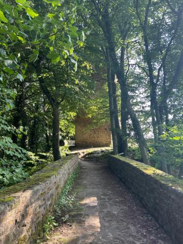 a path in a park with trees and a wall at Natur & Ruhe in Prümzurlay in Prümzurlay