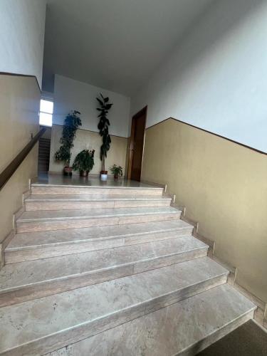 a staircase in a building with potted plants at Apartamento Malpensa Milano 2 in Casorate Sempione