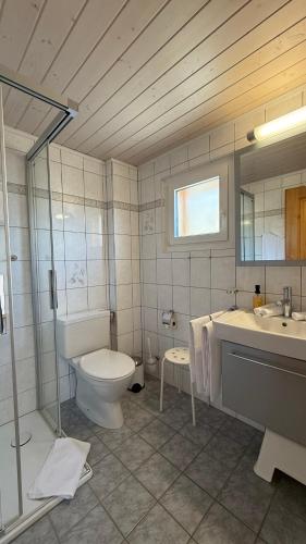 ベットマーアルプにあるam Bärgbach 1.OGのトイレと洗面台付きのバスルーム
