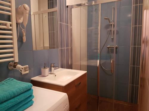 a bathroom with a sink and a shower at Luna in Wrocław