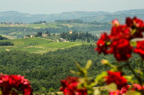 a view of a valley with red flowers in the foreground at Adalberto - nella dimora di Fulignano in San Gimignano