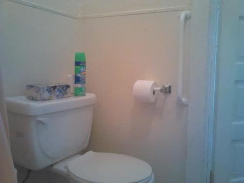 a bathroom with a toilet and a roll of toilet paper at Canora Vacation Home in Canora