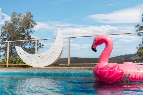 a pink swan float in a swimming pool at Central Coast Moon Lake Resort in Green Point