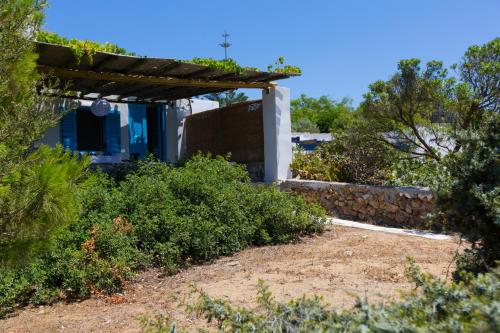 Κήπος έξω από το spitakia naxos