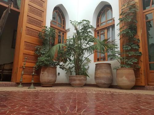 a group of potted plants in a building at Riad Dar Karima in Rabat