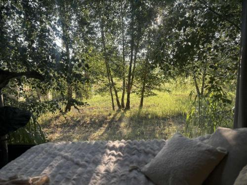 ToTu Tiny House Sauna & wanna ogrodowa