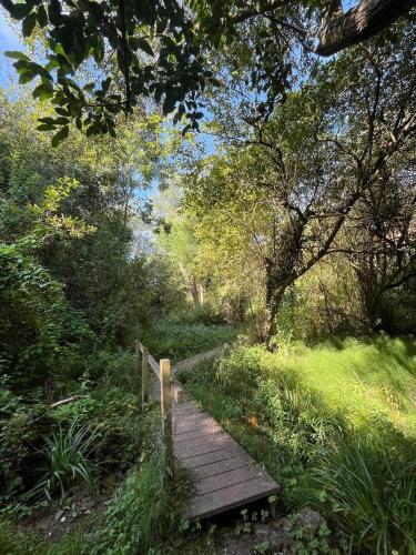 a wooden path in the middle of a forest at Star Gazing Dome 1 with cozy log burner in Horspath