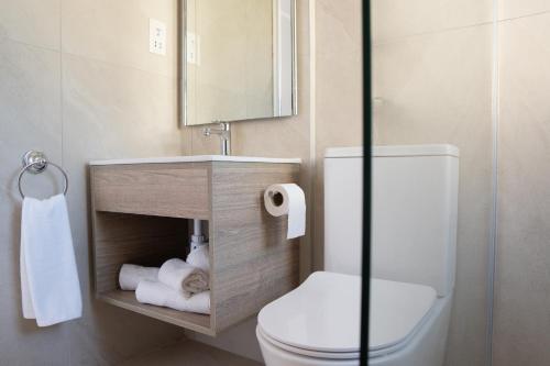 a bathroom with a toilet and a sink and a mirror at Akamanthea Holiday Village in Polis Chrysochous