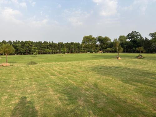 a large grass field with trees in the background at 4BHK Greenwood Farm And Lawn -Bijwasan I Delhi-Gurgaon Border I 87oo2o5865 in Gurgaon