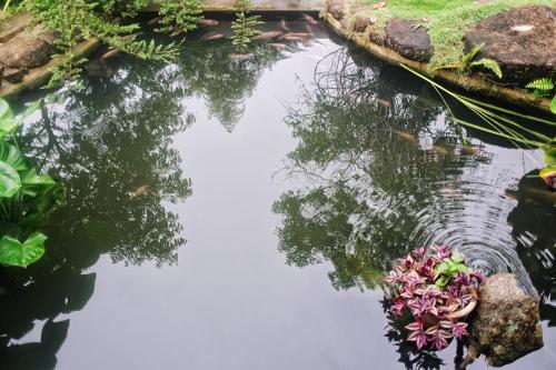 a pond in a garden with flowers in it at Harmony Valley Retreat in Bukit Tinggi