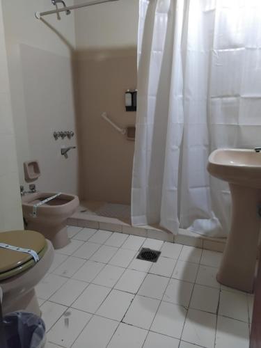 a bathroom with a toilet and a shower and a sink at Hotel Shauard in Salta