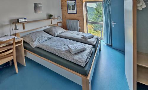 a bedroom with a bed and a desk and a window at Chata H&D Červenohorské Sedlo in Kouty