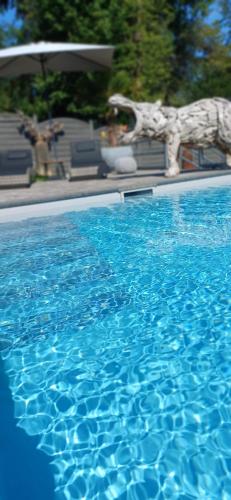 - la fermeture d'une piscine bleue dans l'établissement Waldzauber Appartement, à Horhausen