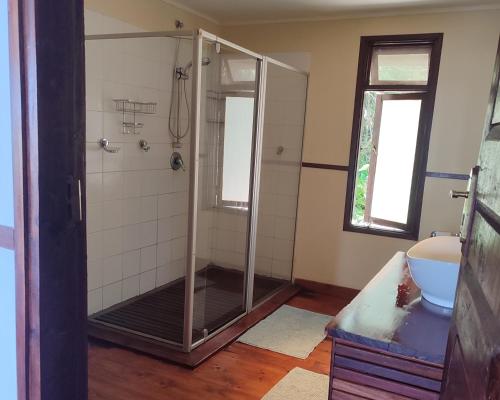 a shower with a glass door in a bathroom at Vila do Monte, Villa #8, Ponta Mamoli in Ponta Mamoli