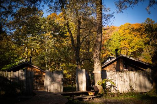 a wooden cabin in the woods with a tree at LAMP Nojiriko The Sauna by the Lake in Shinano
