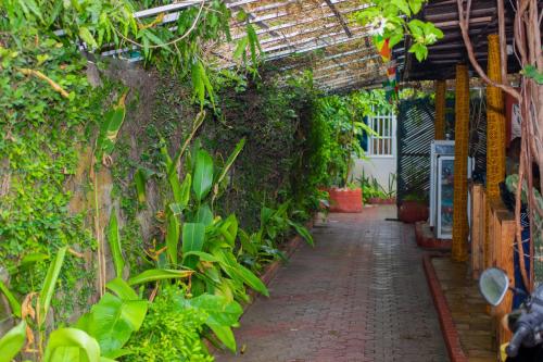 a greenhouse with plants and a brick walkway at Residence Ivoire Cotonou in Cotonou