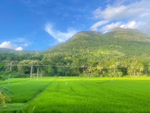 a field of green grass with mountains in the background at Pinna Flower Homestay Cabana in Rambukkana