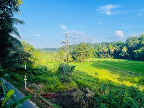 a field of grass with a utility pole at Pinna Flower Homestay Cabana in Rambukkana