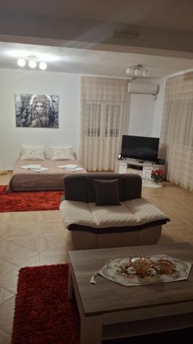 Μια τηλεόραση ή/και κέντρο ψυχαγωγίας στο Apartman Goga