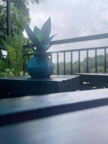 a plant in a vase sitting on a table at Pinna Flower Homestay Cabana in Rambukkana