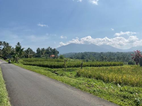 a road next to a field with mountains in the background at Buana Asti rooms in Tabanan