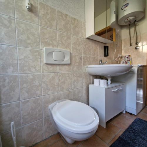 a bathroom with a toilet and a sink at Family Apartment Miki in Teslic in Teslić