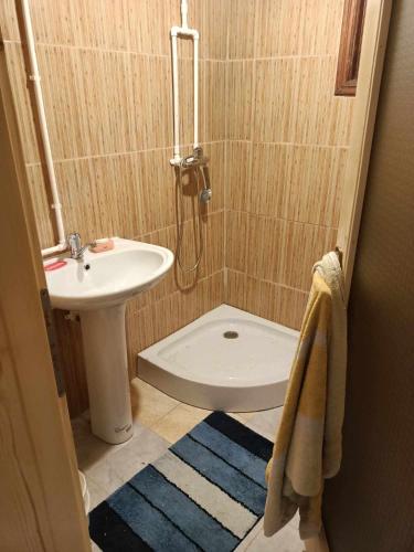 a small bathroom with a sink and a toilet at Csanodi erdei ház in Gheorgheni